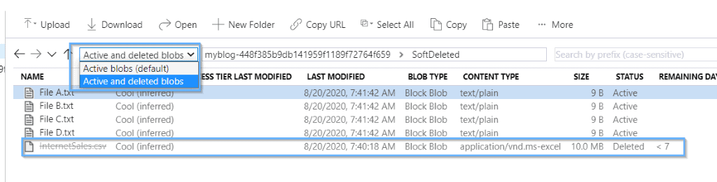 View deleted files in the storage explorer