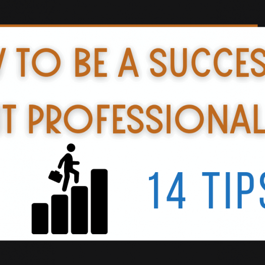 How to Be a Successful IT Professional – 14 Tips